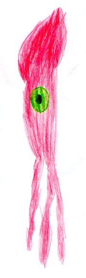 Squid Watermelon Eye